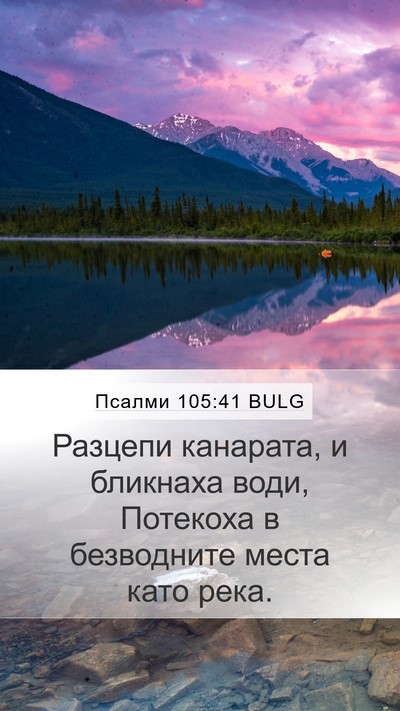 Псалми 105:41 BULG Bible Verse Image