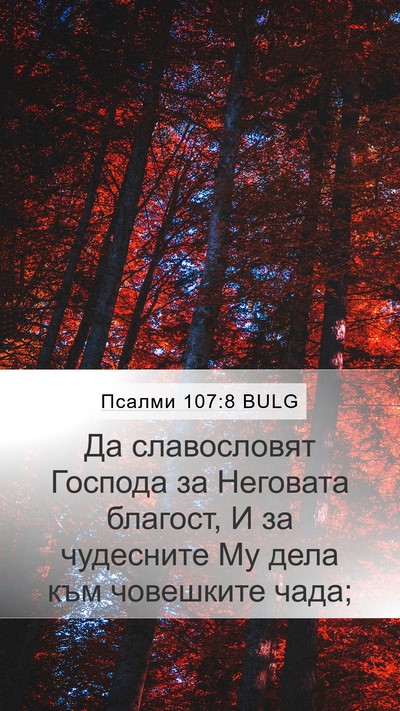 Псалми 107:8 BULG Bible Verse Image