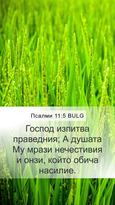 Псалми 11:5 BULG Bible Verse Image