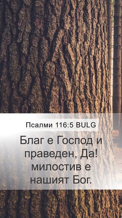 Псалми 116:5 BULG Bible Verse Image