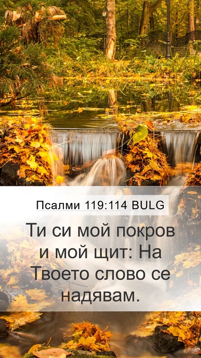 Псалми 119:114 BULG Bible Verse Image