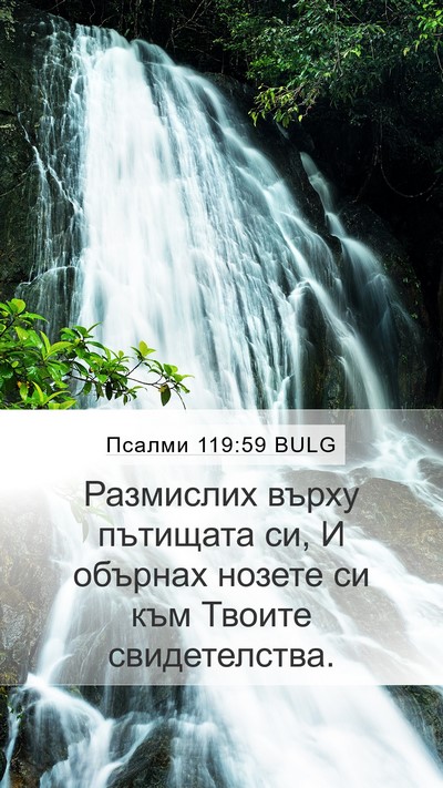 Псалми 119:59 BULG Bible Verse Image