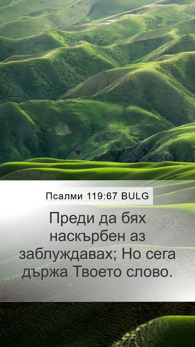 Псалми 119:67 BULG Bible Verse Image