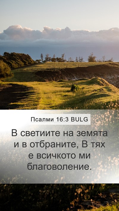 Псалми 16:3 BULG Bible Verse Image
