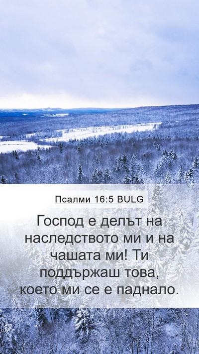 Псалми 16:5 BULG Bible Verse Image