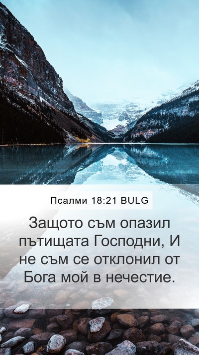 Псалми 18:21 BULG Mobile Phone Wallpaper - Защото съм опазил пътищата - Mobile Bible Verse Wallpaper