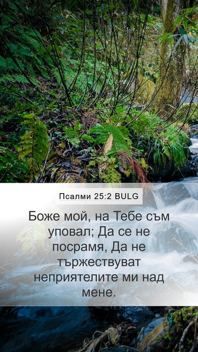 Псалми 25:2 BULG Bible Verse Image
