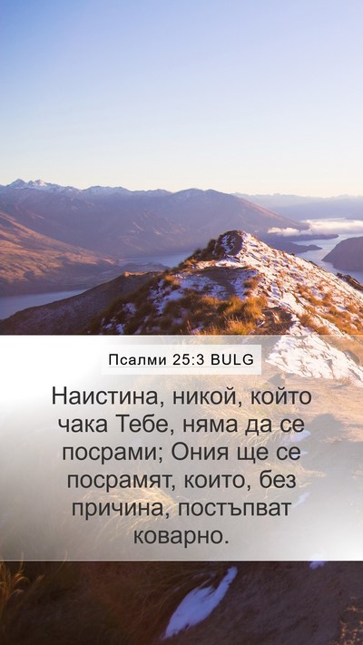 Псалми 25:3 BULG Bible Verse Image