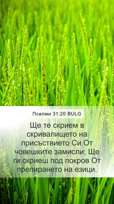 Псалми 31:20 BULG Bible Verse Image
