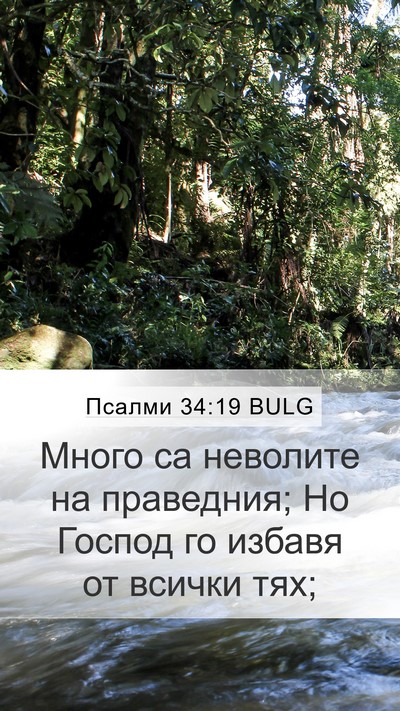 Псалми 34:19 BULG Mobile Phone Wallpaper - Много са неволите на - Mobile Bible Verse Wallpaper