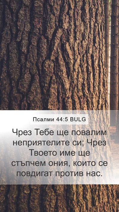 Псалми 44:5 BULG Bible Verse Image