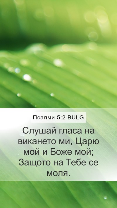 Псалми 5:2 BULG Mobile Phone Wallpaper - Слушай гласа на викането - Mobile Bible Verse Wallpaper