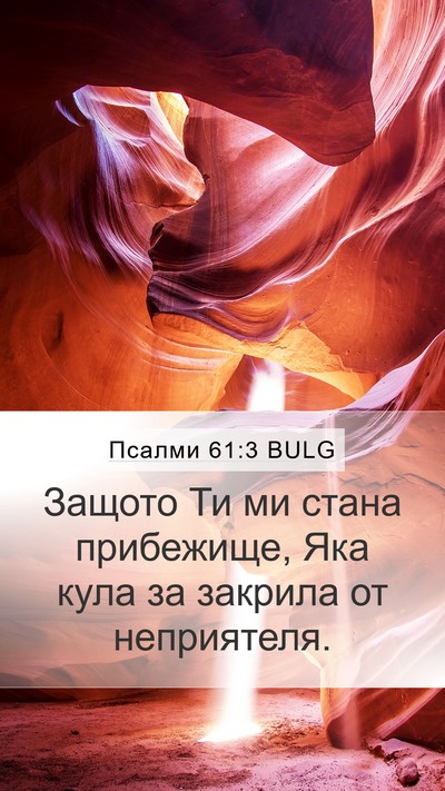 Псалми 61:3 BULG Bible Verse Image