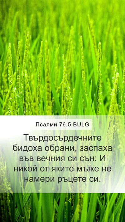 Псалми 76:5 BULG Bible Verse Image