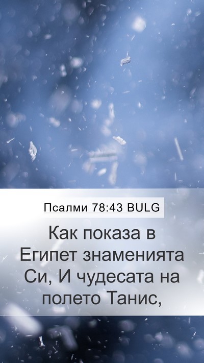 Псалми 78:43 BULG Bible Verse Image