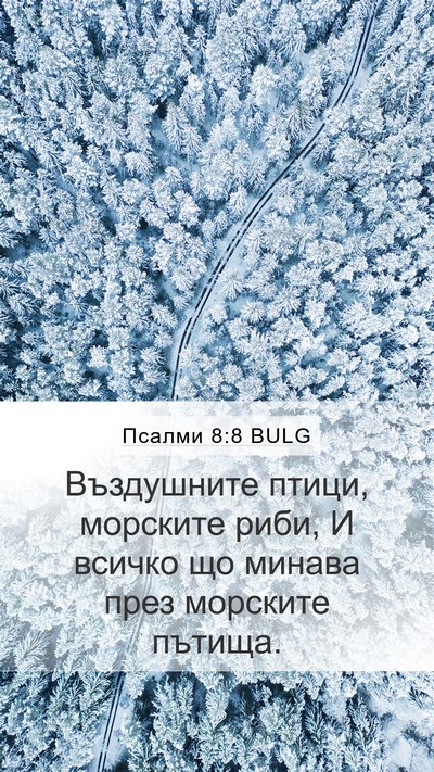 Псалми 8:8 BULG Bible Verse Image