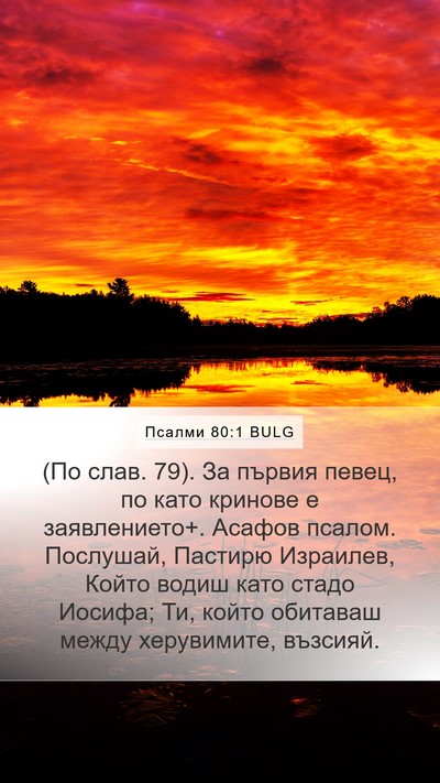 Псалми 80:1 BULG Mobile Phone Wallpaper - (По слав. 79). За първия - Mobile Bible Verse Wallpaper