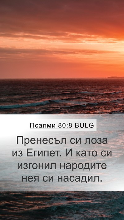 Псалми 80:8 BULG Bible Verse Image
