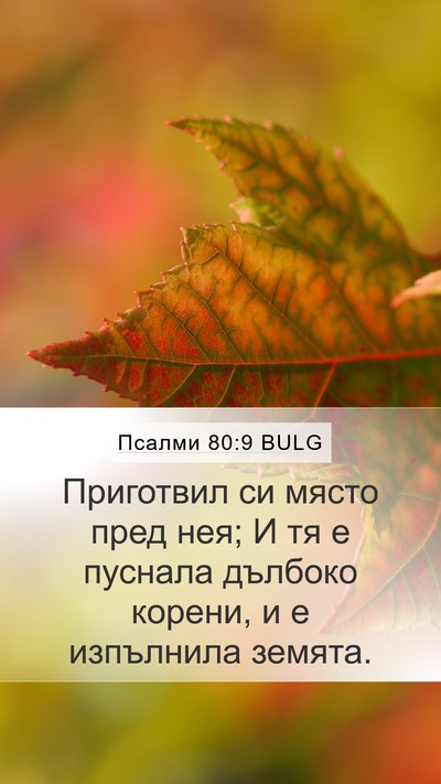 Псалми 80:9 BULG Bible Verse Image