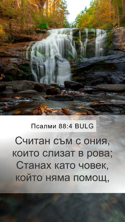 Псалми 88:4 BULG Bible Verse Image