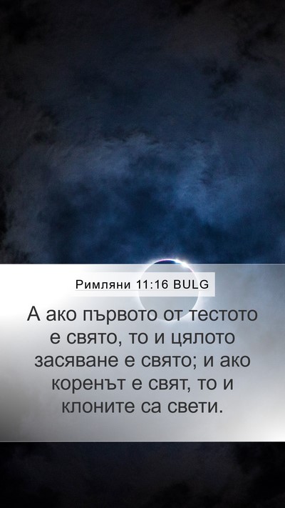 Римляни 11:16 BULG Bible Verse Image