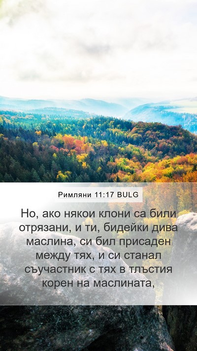 Римляни 11:17 BULG Bible Verse Image
