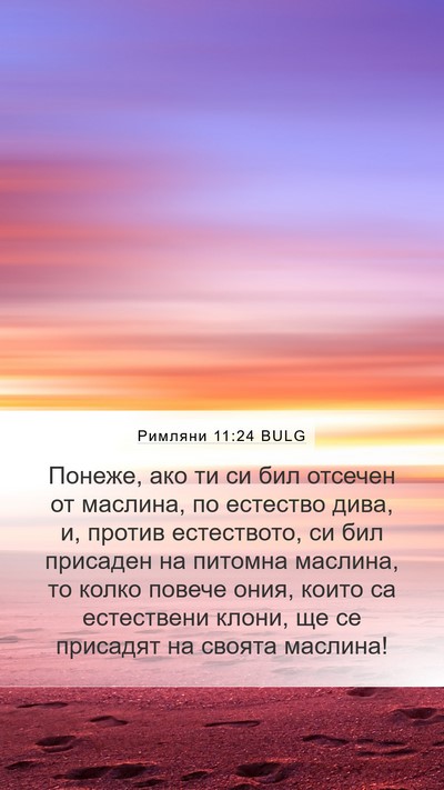 Римляни 11:24 BULG Bible Verse Image