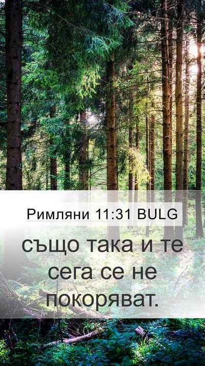 Римляни 11:31 BULG Bible Verse Image