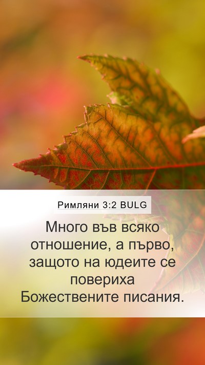 Римляни 3:2 BULG Bible Verse Image