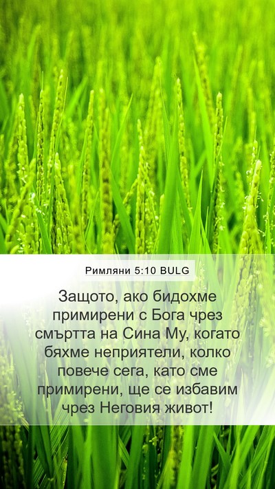 Римляни 5:10 BULG Bible Verse Image