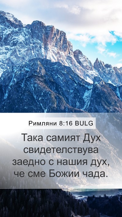 Римляни 8:16 BULG Bible Verse Image