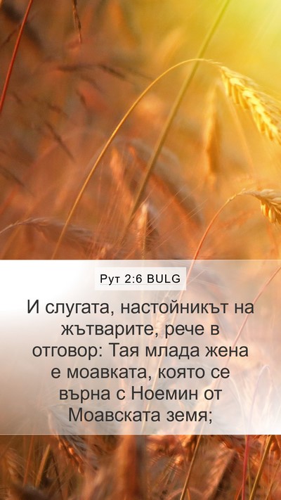 Рут 2:6 BULG Mobile Phone Wallpaper - И слугата, настойникът на - Mobile Bible Verse Wallpaper