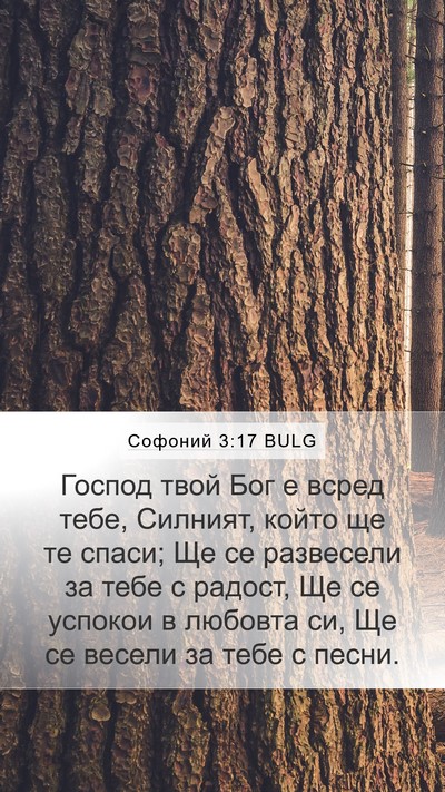 Софоний 3:17 BULG Bible Verse Image