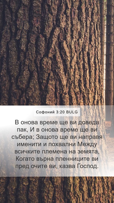 Софоний 3:20 BULG Bible Verse Image