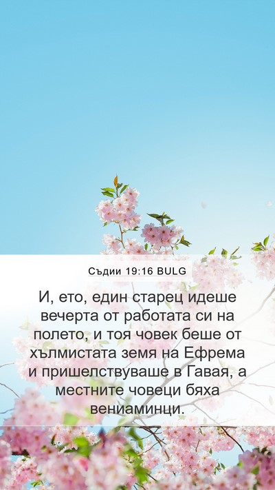 Съдии 19:16 BULG Bible Verse Image