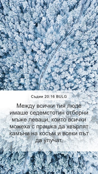 Съдии 20:16 BULG Bible Verse Image