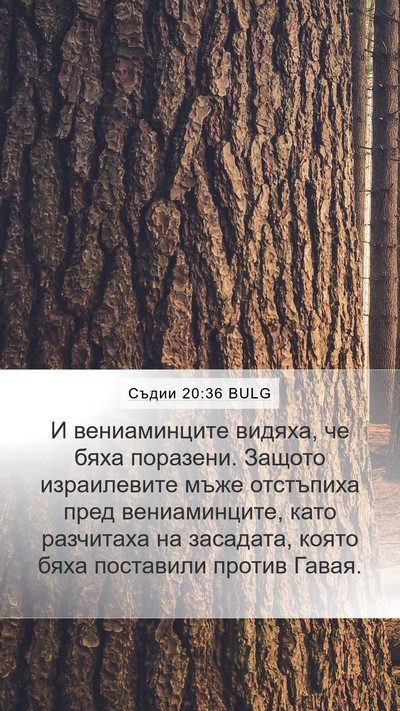 Съдии 20:36 BULG Bible Verse Image