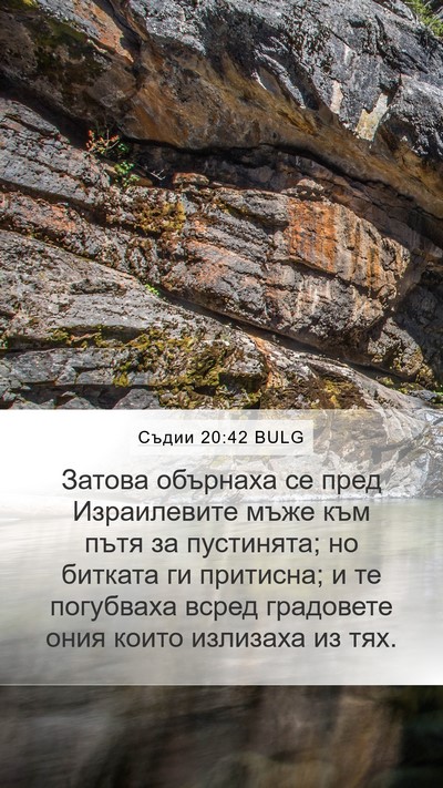 Съдии 20:42 BULG Mobile Phone Wallpaper - Затова обърнаха се пред - Mobile Bible Verse Wallpaper