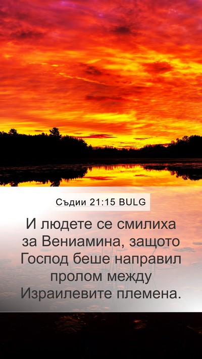 Съдии 21:15 BULG Bible Verse Image