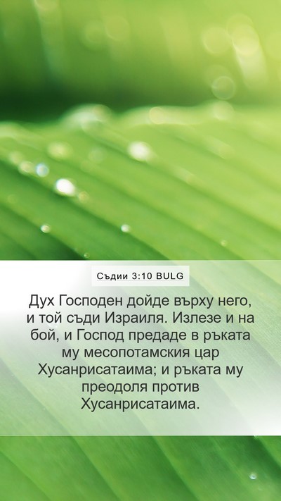 Съдии 3:10 BULG Bible Verse Image