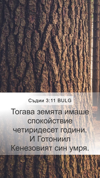 Съдии 3:11 BULG Bible Verse Image