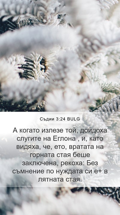 Съдии 3:24 BULG Bible Verse Image