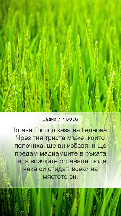 Съдии 7:7 BULG Bible Verse Image