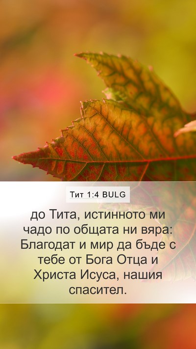 Тит 1:4 BULG Bible Verse Image