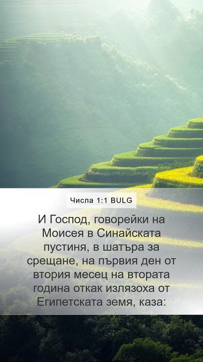 Числа 1:1 BULG Bible Verse Image