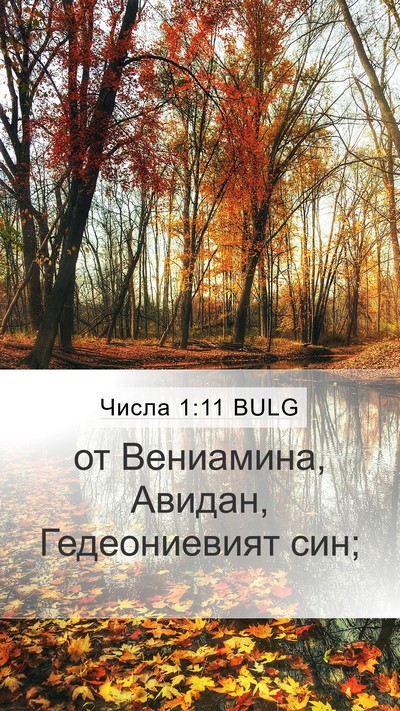 Числа 1:11 BULG Mobile Phone Wallpaper - от Вениамина, Авидан, - Mobile Bible Verse Wallpaper