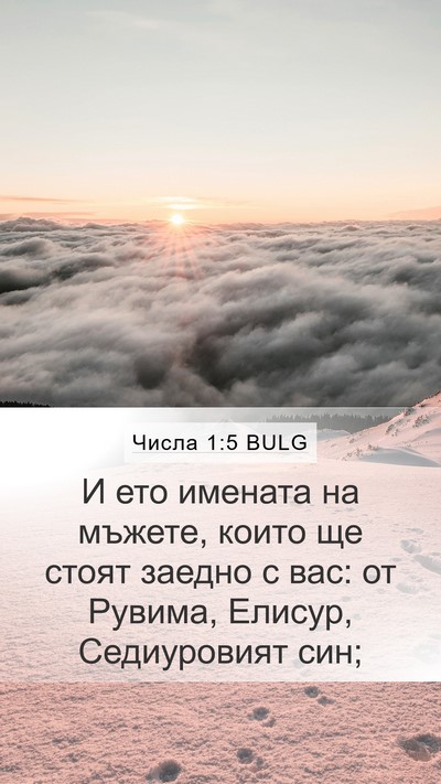 Числа 1:5 BULG Bible Verse Image