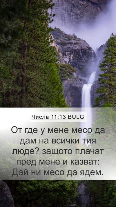 Числа 11:13 BULG Mobile Phone Wallpaper - От где у мене месо да дам на - Mobile Bible Verse Wallpaper
