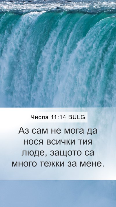 Числа 11:14 BULG Bible Verse Image