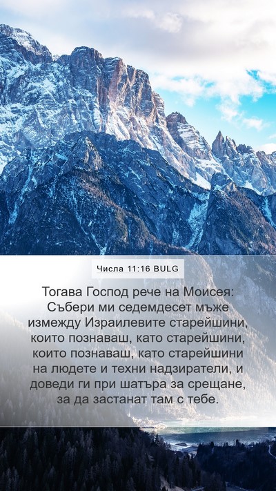 Числа 11:16 BULG Bible Verse Image
